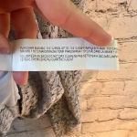 ZARA  Women’s Light Blue Lace Cropped‎ Zip Up Jacket Size Medium Photo 8