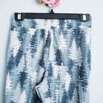 Avalanche ‎ Photo 4