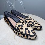 Kelly & Katie Kelly & Kellie Brown Black Animal Print Leather Flat Shoe Photo 0