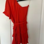 Impeccable Pig  Dress Photo 1