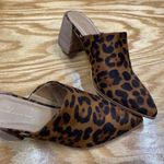 Vintage Havana  Mel dark leopard mules size 7 (s26) Photo 4