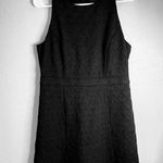 Ann Taylor Cute Eyelet Black Midi Dress. Photo 0