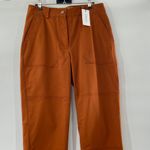 NEW Derek Lam 10 Crosby Therese Straight Leg Pants Cinnamon Size 14 Curvy $375 Brown Photo 12