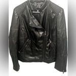 The Limited  Faux Leather jacket PXL  Moto  BIKER Jacket Photo 0