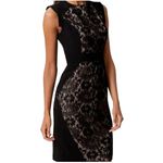 Adrianna Papell Lace Overlay Block Black Sleeveless Sheath Dress Size 4 NWT Photo 1