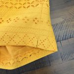 Ann Taylor  LOFT Riviera Shorts SIZE 0 Gold Eyelet 4" Inseam Flat Chino NEW Photo 3