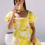 Sabo Skirt Mini Dress Photo 0