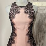lela rose • wool silk lace appliqué embroidered peach black dress Size 0 Photo 96