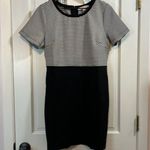 Loft Thick Knit Short Sleeve Structured Career Mini Dress - Size 12P Photo 0