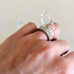 Handmade Fashion Bird in Flight Ring, Clear Custom Silhouette Photo 8