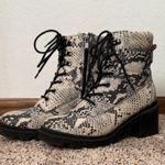 Madden Girl  Cream Black Snakeskin Combat Boots Size 8.5 Lace Up Zip Chunky Heel Photo 0