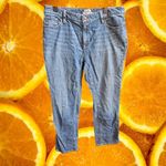 L.L.Bean ‎ Women's Favorite Fit Jeans Denim Blue Size 12 REG Made in Mexico Photo 3