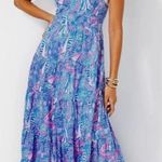 Lilly Pulitzer Jenette Maxi Dress Photo 2