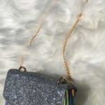 Reveal Glitter Purse Photo 0