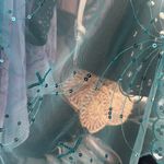 Hannah Montana Disney scarf Blue Photo 2