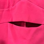 Endless Rose Dress Photo 3