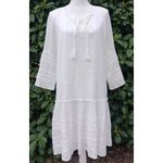 Sundance White Aleta Embroidered Mini Shift Dress Small Photo 4