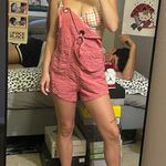 BDG pink overalls Photo 1