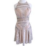 Parker  LEONA SILK BLUSH NEUTRAL SILVERTONE BEADED HALTER CUTOUT BACK MINI DRESS Photo 6