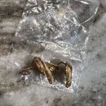 Trifari Vintage  gold tone clip on earrings Photo 4