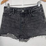 ALLSAINTS  nyla high‎ waist shorts 30 Photo 0
