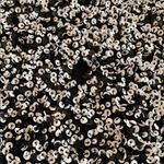 Parker Sequin Crop Top Photo 3