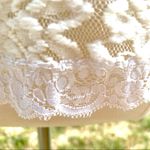 Issi  Semi Sheer Lace top Photo 12