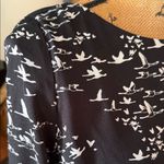 The Limited  Black & White Duck Bird Print Shift Dress – Size S Photo 4