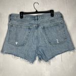 AGOLDE Parker Denim Shorts Long Photo 7