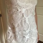 EXPRESS White Lace Trapeze Dress Photo 0