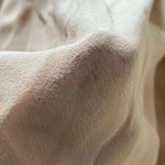 Victoria's Secret Victoria’s Secret Nude Embroidered Silk Maxi Slip Photo 12