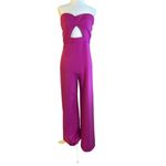 Katie May  Ray Jumpsuit in Pink Jumpsuit Outfit Wide Leg Photo 3