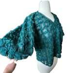 Anthropologie Sarah Hann Blouse Teal LGE Chiffon Sheer Tulle Victorian Feminine Photo 5