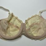 Wacoal  Cream Floral Lace Underwire Bra 36C Photo 3