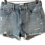 AGOLDE Parker Vintage Cut Off Short in Swapmeet High Rise Distressed Jean sz 27 Photo 0