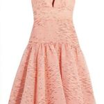 NWT! Lela Rose Metallic Minnow Photo 2