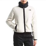 The North Face  Dunraven Sherpa pullover jacket zipper Crop mock neck fleece Photo 3