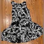 Style & Co . Black and White Patterned Dress Photo 8