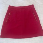 Ann Taylor Loft Skirt Photo 0