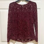 Sundance  Remarkable Beauty Burgundy Lace Top Photo 1