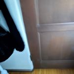 J.CREW | Black Velvet Faux Wrap Tie Waist V Neck Top Blouson Sleeves | Size 8 Photo 2