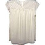 DR2 by Daniel Rainn Floral Clip Dot Cap Sleeve Tunic Blouse Photo 5