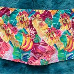 Bleu Rod Beattie  SKIRTED HIPSTER BOTTOM Size 8 Photo 8