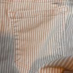 Loft  Modern High Waist Skinny Ankle Striped‎ Petites Jeans 26/2P Photo 9