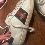 Gucci Sneakers Photo 1