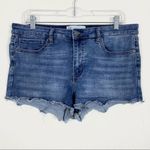RSQ Medium Wash Mid Rise Fray Raw Hem Jean Shorts Photo 2
