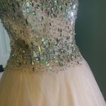 Terani Couture Glamour by  Photo 7