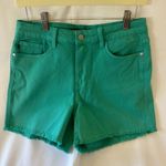 Judy Blue  Shorts Womens Large Sienna Aquamarine Frayed Hem Photo 0