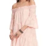 Flying Tomato Calin by Embroidered Ruffle Mini Dress Sz Large cute babydoll NWT Photo 4