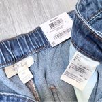 Style & Co Blue Denim Jogger Jeans XL Photo 1